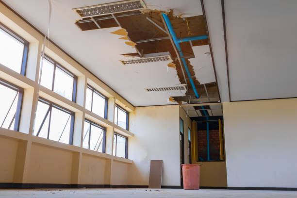 North Lauderdale, FL Water damage restoration Company