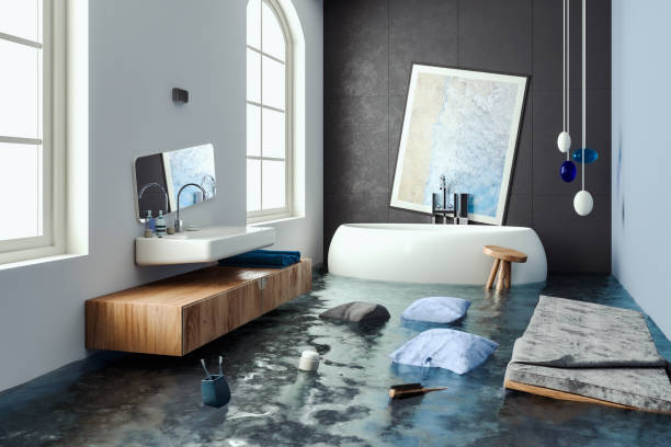Best Mold removal after water damage  in North Lauderdale, FL