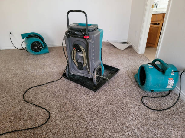 Best Water damage restoration near me  in North Lauderdale, FL