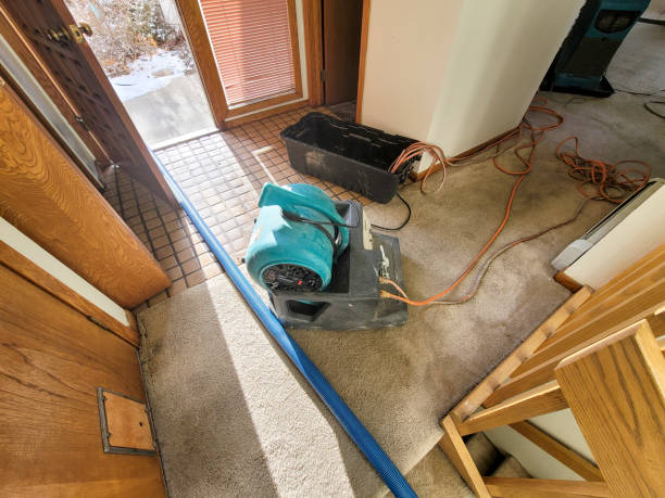 Best Water damage contractors near me  in North Lauderdale, FL