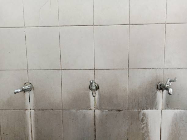 Best Flood damage cleanup  in North Lauderdale, FL