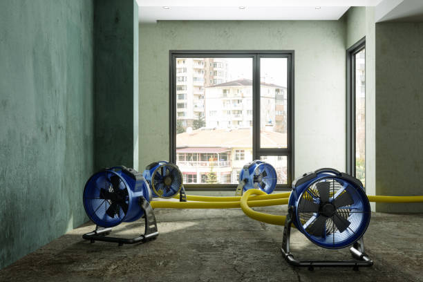 Best Sewage cleanup and water damage restoration  in North Lauderdale, FL
