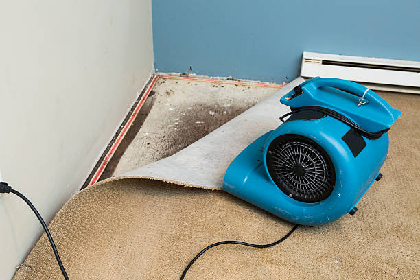 Best Local water damage restoration  in North Lauderdale, FL